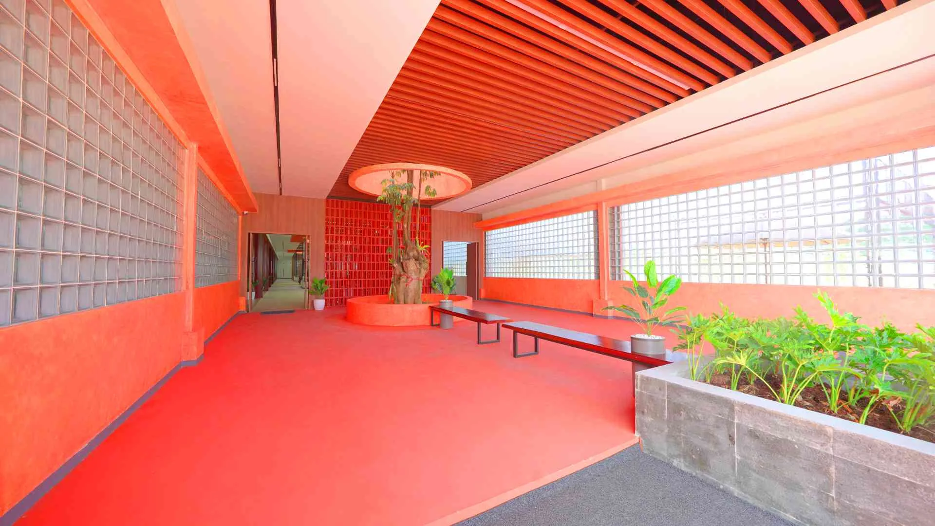 A burnt-orange corridor with a slatted timber ceiling, benches and planters